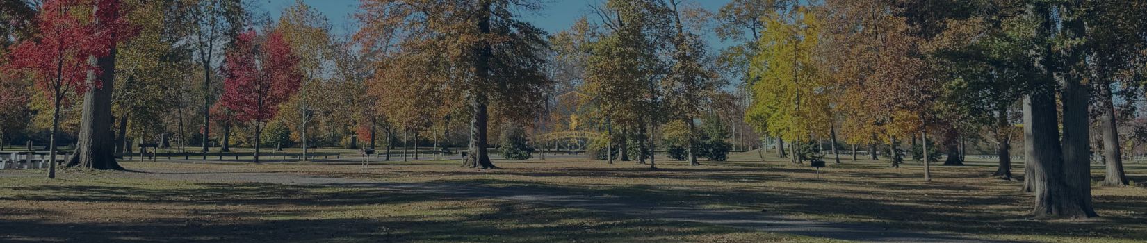 Bruce Carber Bruce Carber