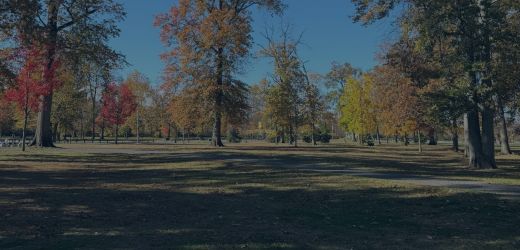 Bruce Carber Bruce Carber